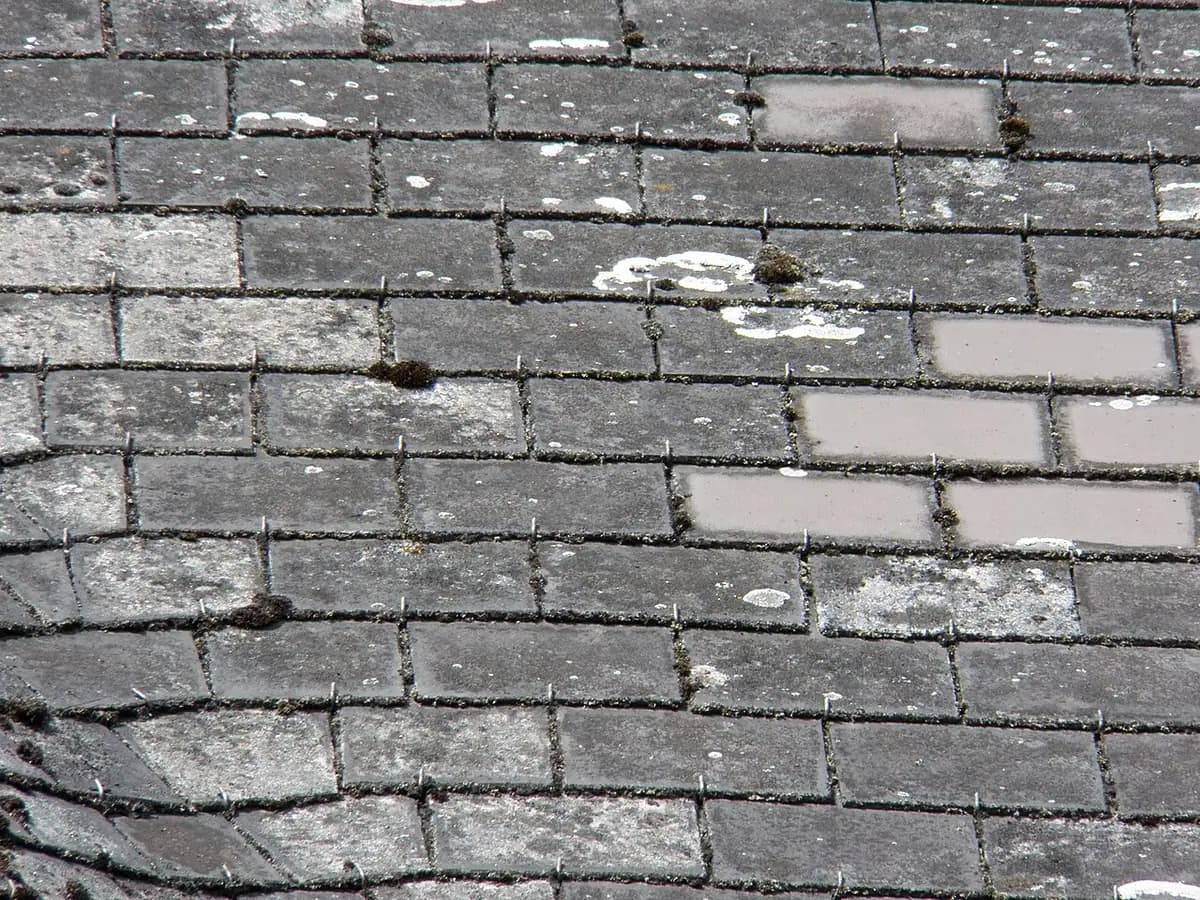 Close-up of gray roof slates made of asbestos cement, with moss and some lighter patches.