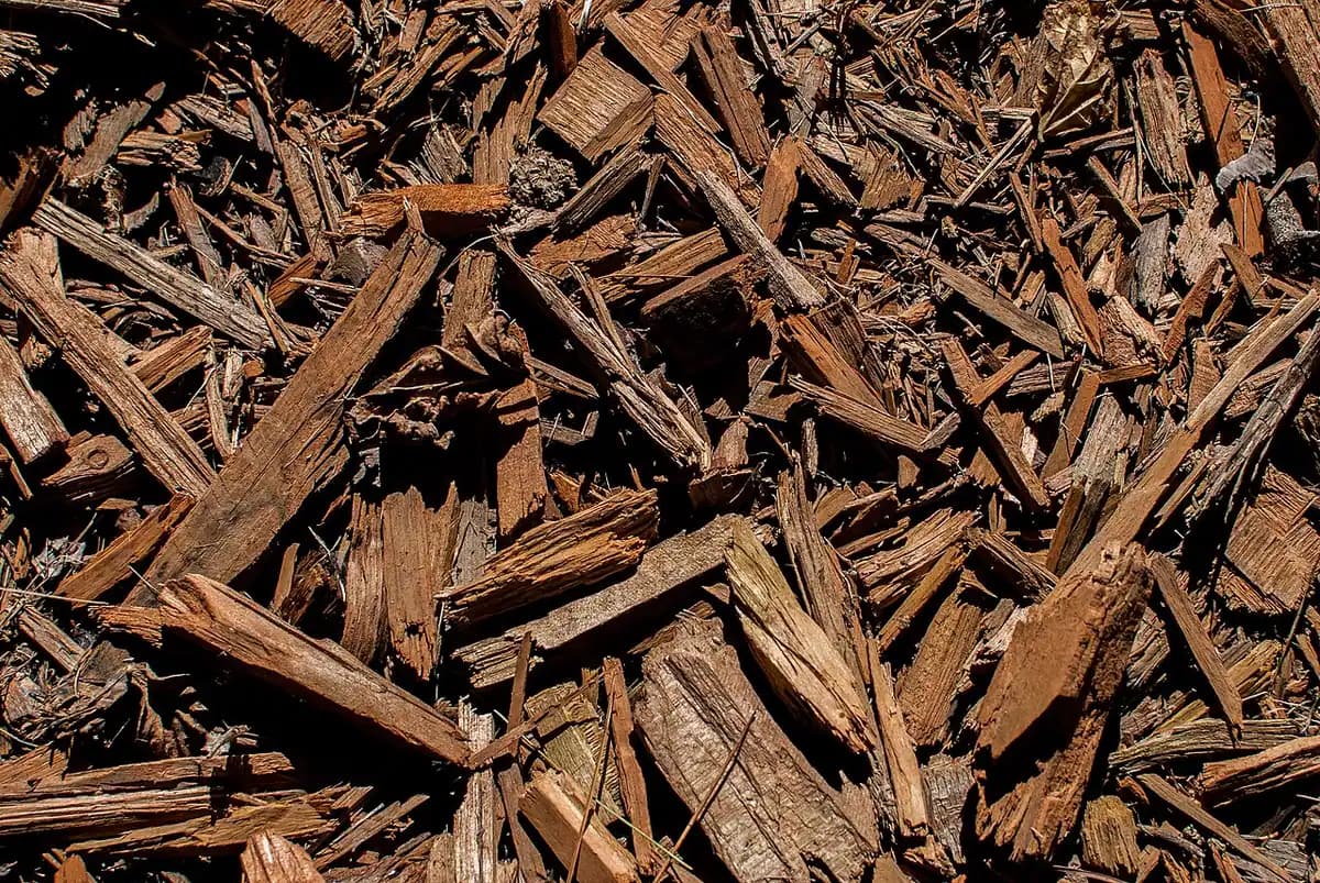 Close-up of wood chip mulch.
