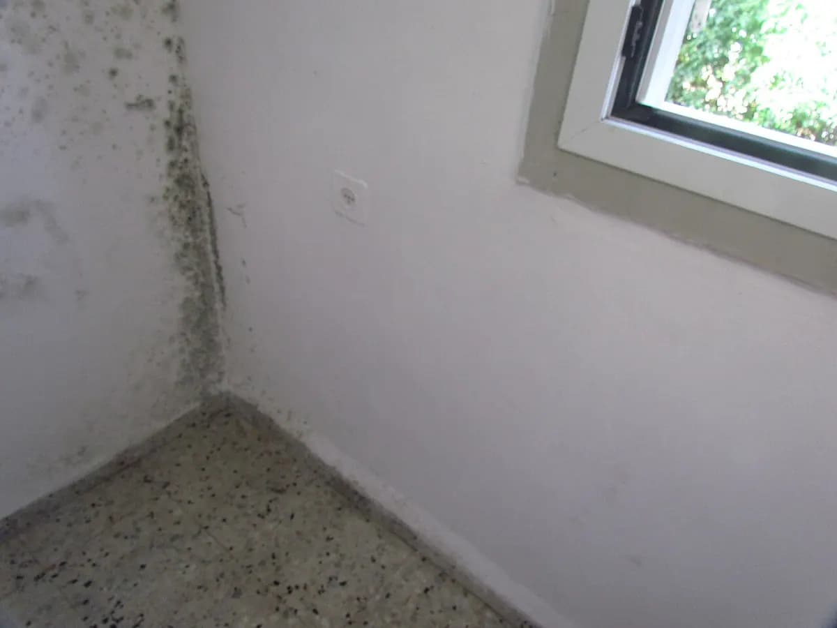 A room corner with dark mold patches along the wall near a window.