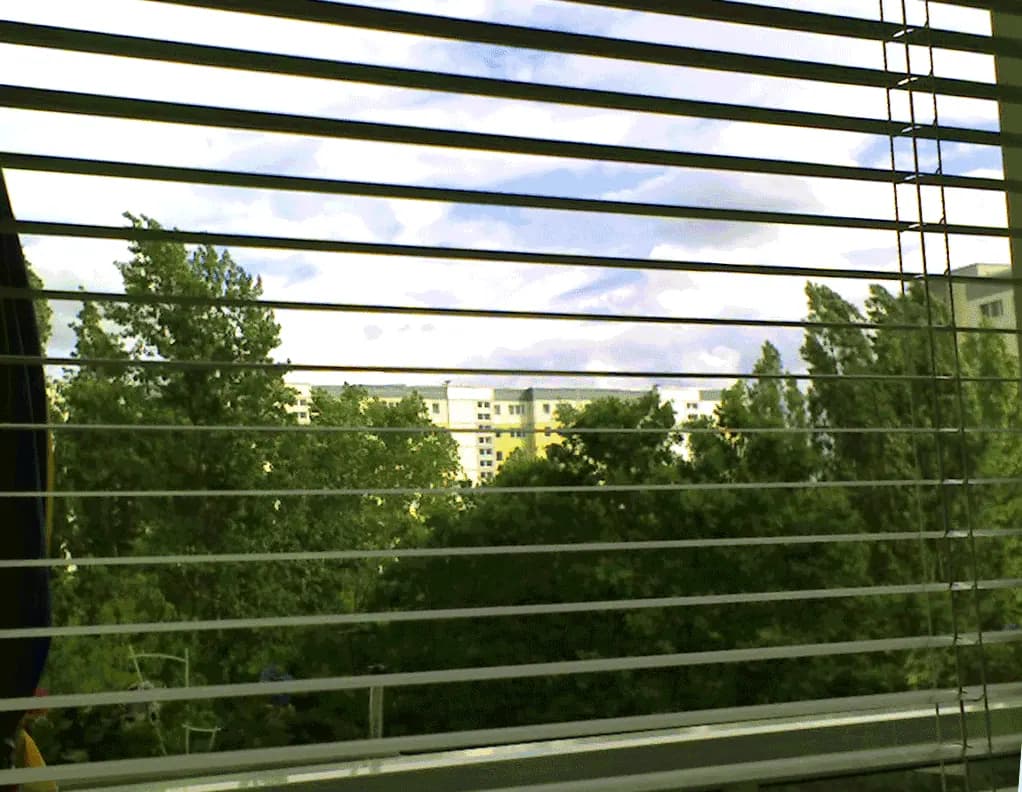 Horizontal slat blinds partly open in front of a window with trees outside.