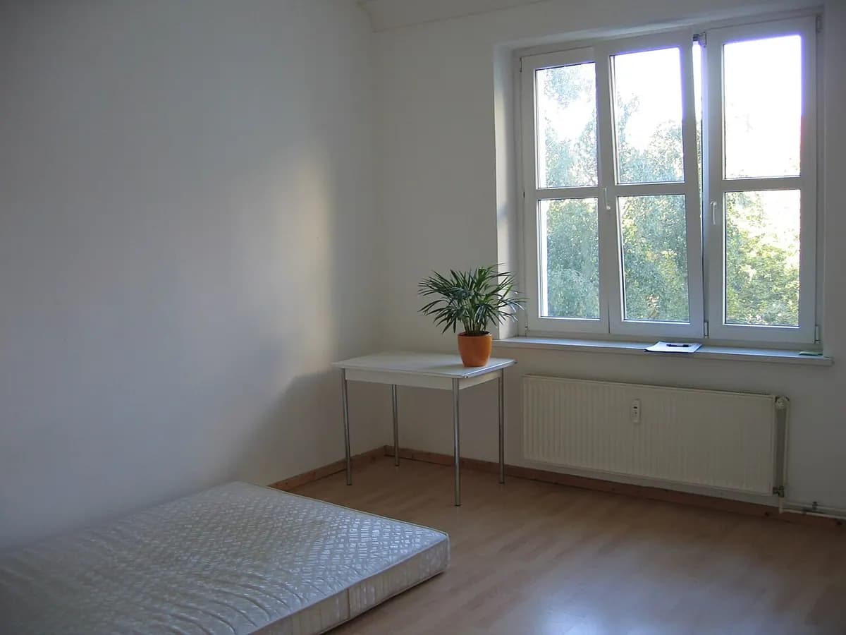 A bare bright room with a white-framed window and a radiator under it.